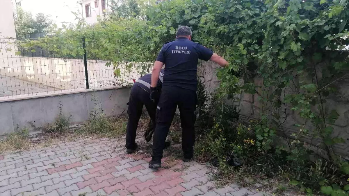 Çocukların bahçede oynarken karşılaştığı yılan yakalanarak doğaya salındı