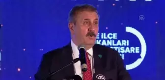 Destici: '(Tahıl koridoru anlaşması) Türkiye için önemli bir diplomasi başarısı olarak görüyoruz'