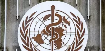 DSÖ, Maymun Çiçeği hastalığını küresel acil durum ilan etti