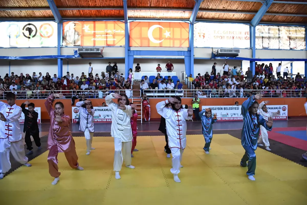 Wushu Şampiyonası başladı