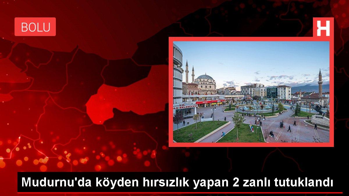 Mudurnu'da köyden hırsızlık yapan 2 zanlı tutuklandı