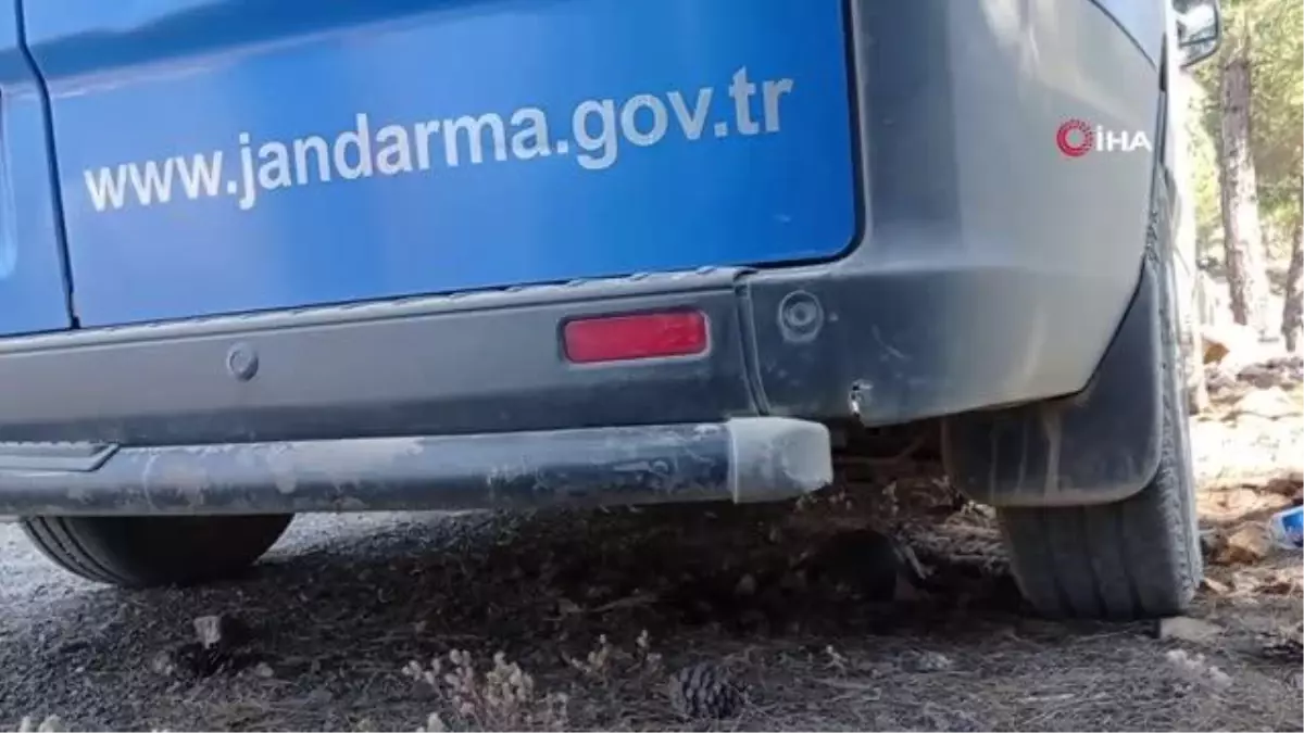 Son Dakika | Orman yangınında yürek burkan görüntüler: Yangından kaçan kaplumbağa jandarma aracının altına saklandı
