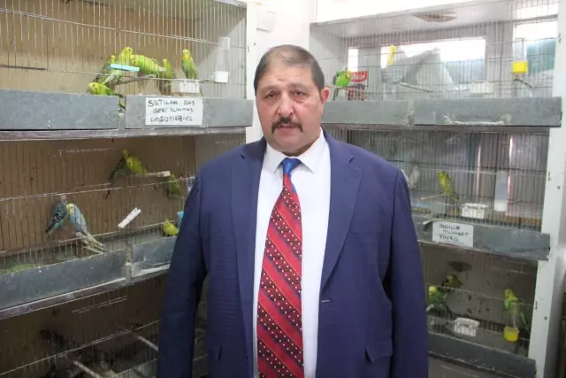 Petshoplar 'Kasaplar Odası'na bağlandı, başkan kararı böyle açıkladı: Bunlar da hayvan kısmına girdiği için birleştirildi