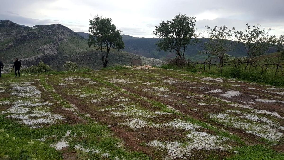Siirtli çiftçilere 1,5 milyon lira yardım