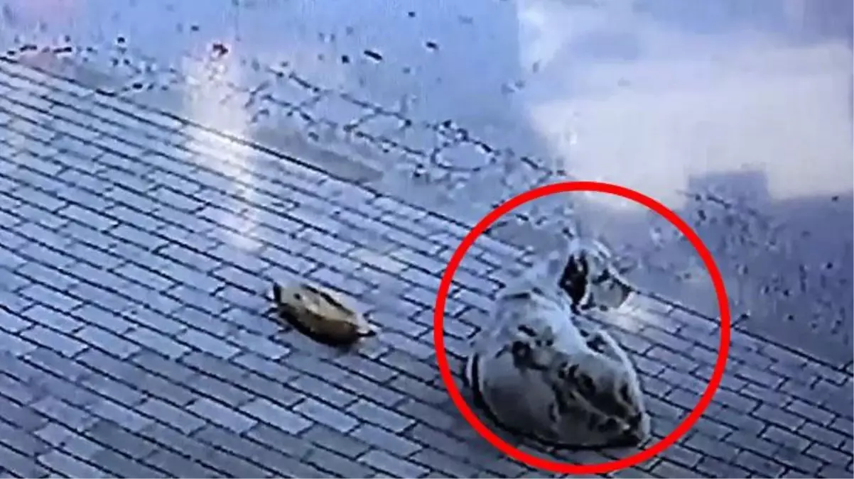Başkasının verdiği ekmeği yemedi, 45 dakika iş yeri sahibinin gelmesini bekledi