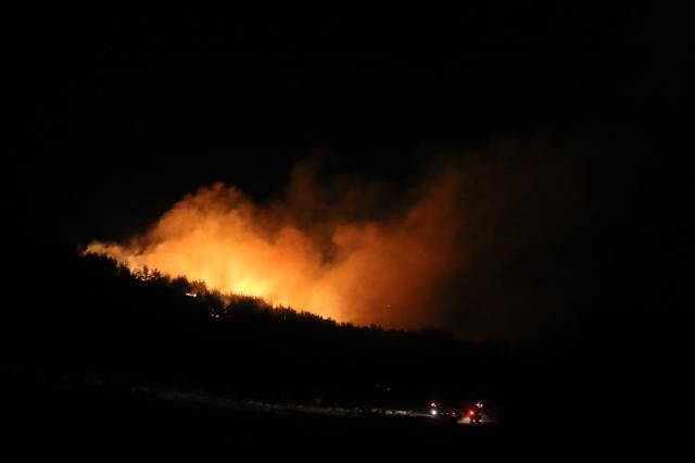 Adana'da orman yangını! Alevler rüzgarın etkisiyle kısa sürede büyüdü