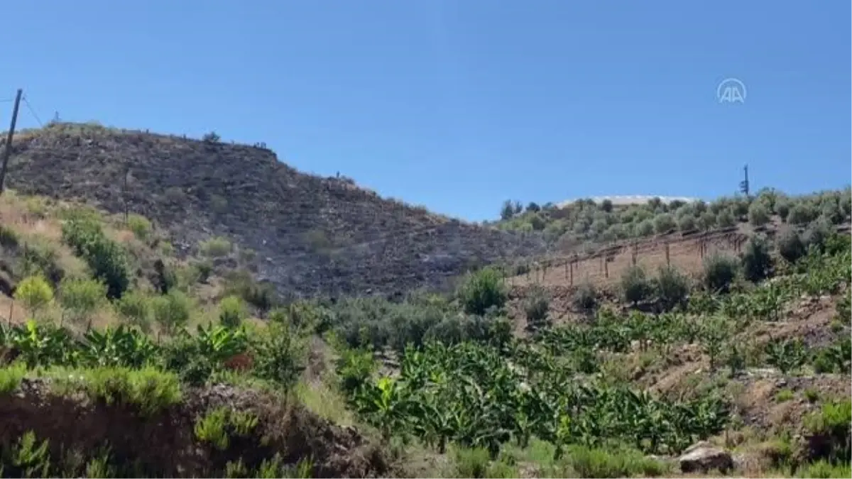 Badem bahçesinde çıkan yangın söndürüldü