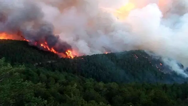Son dakika haberi... Kütahya'da Emet'te orman yangını... Ekipler yangına müdahale ediyor