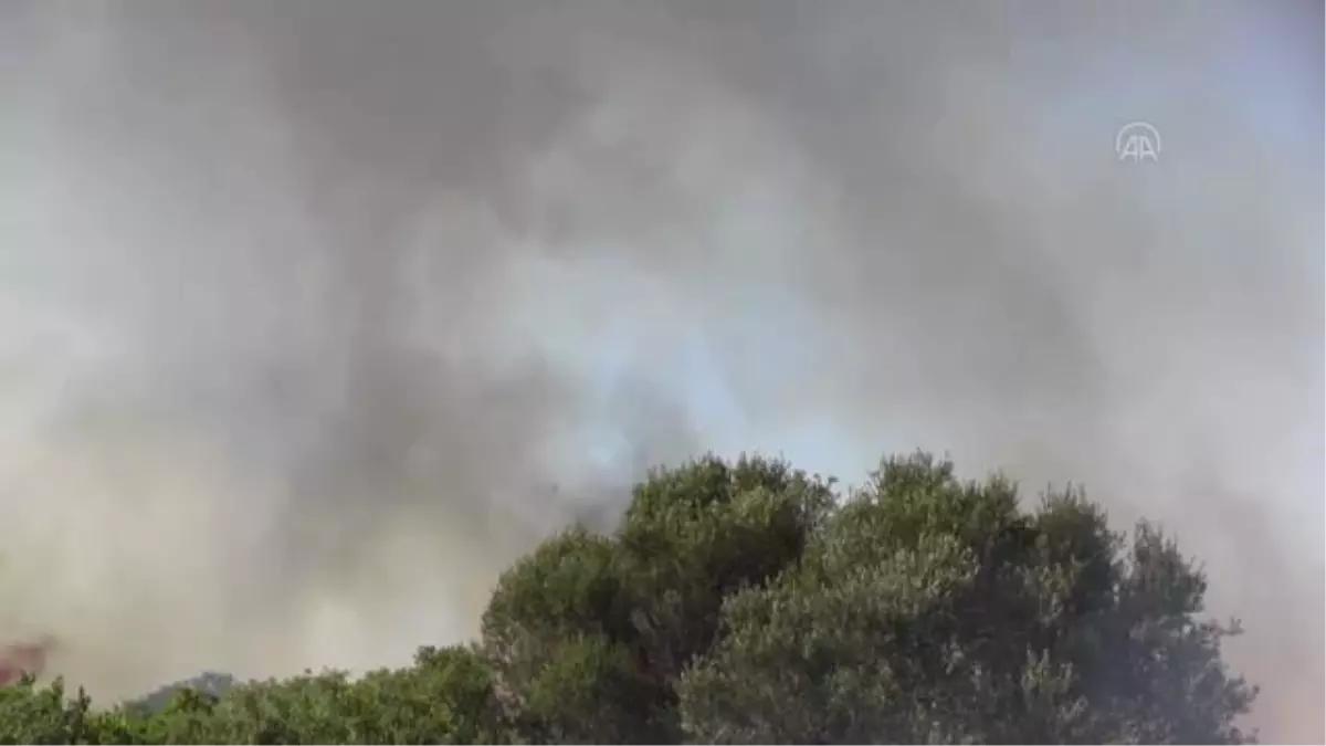 Makilik alanda çıkan yangın kontrol altına alındı