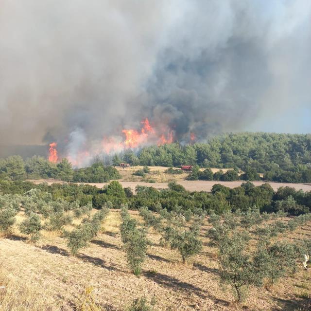 Manisa'da yangın mı çıktı, nerede? (VİDEO) 24 Temmuz Pazar Manisa Akhisar'da yangın mı oldu, yangın nerede çıktı, yangın söndürüldü mü? Son gelişmeler
