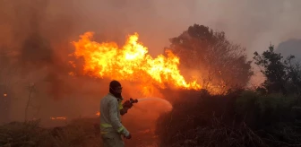 Son dakika haber... Manisa'daki orman yangını büyüdü, 20 ev boşaltıldı, 40 kişi tahliye edildi