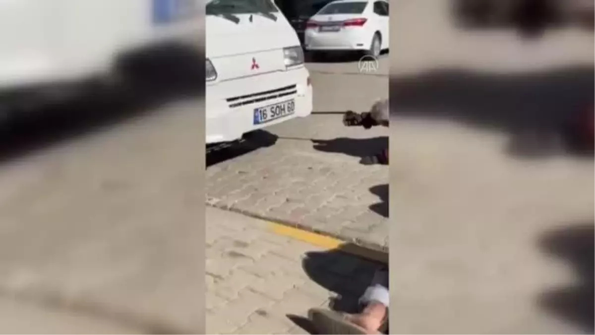 Otomobilin motor kısmına giren yılan itfaiye ekiplerince çıkarıldı