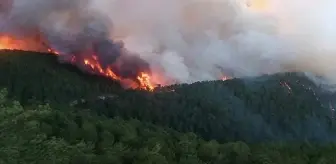 Kütahya'da orman yangını! Bölgeye çok sayıda ekiple birlikte helikopter ve uçak da sevk edildi