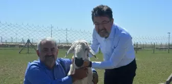 Tarım ve Orman Bakan Yardımcısı Yumaklı, Karapınar'da incelemelerde bulundu Açıklaması