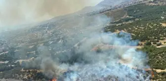 İzmir'de makilik yangını