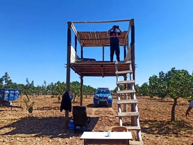 Jandarma fiyatı cep yakan antepfıstığını korumak için yol boyu nöbet tuttu