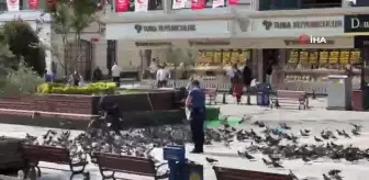 Son dakika haber... Sultanbeyli'de her gün güvercinleri besleyen polisin görüntüleri yürek ısıttı