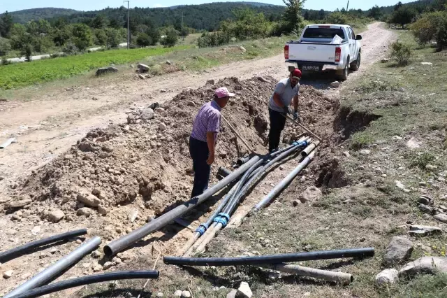Bolu'da onlarca kişinin zehirlendiği köyde etler de incelenecek