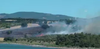 ÇANAKKALE - Bayramiç'te çıkan orman yangınına müdahale ediliyor