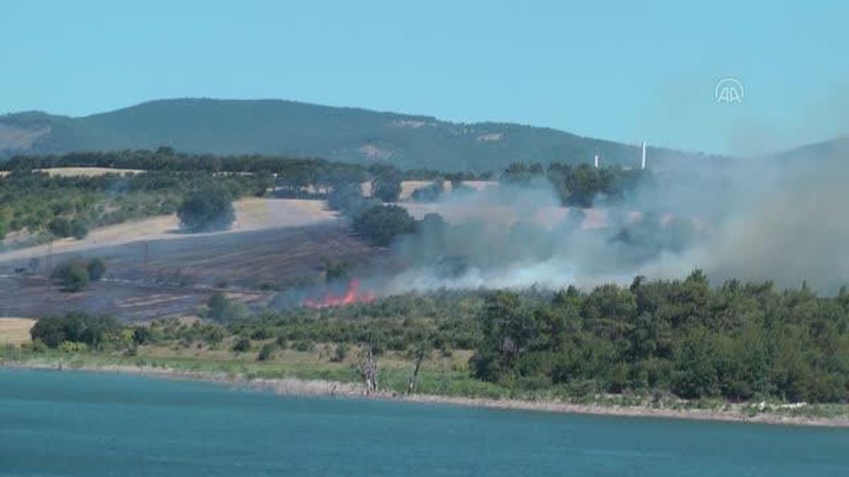 ÇANAKKALE - Bayramiç'te çıkan orman yangınına müdahale ediliyor
