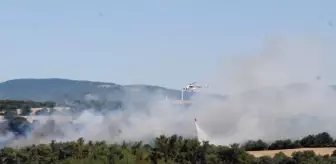 Çanakkale'de çıkan orman yangını kontrol altına alındı