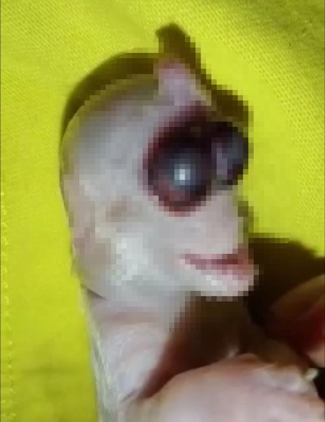 Dünya bu doğumu konuşuyor! Odaya kapatılıp, lanetli ilan edildi: Kimse içeri bakmayacak