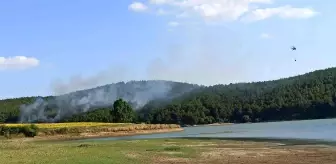 Son dakika haberleri | Keşan'da ormanlık alanda yangın çıktı
