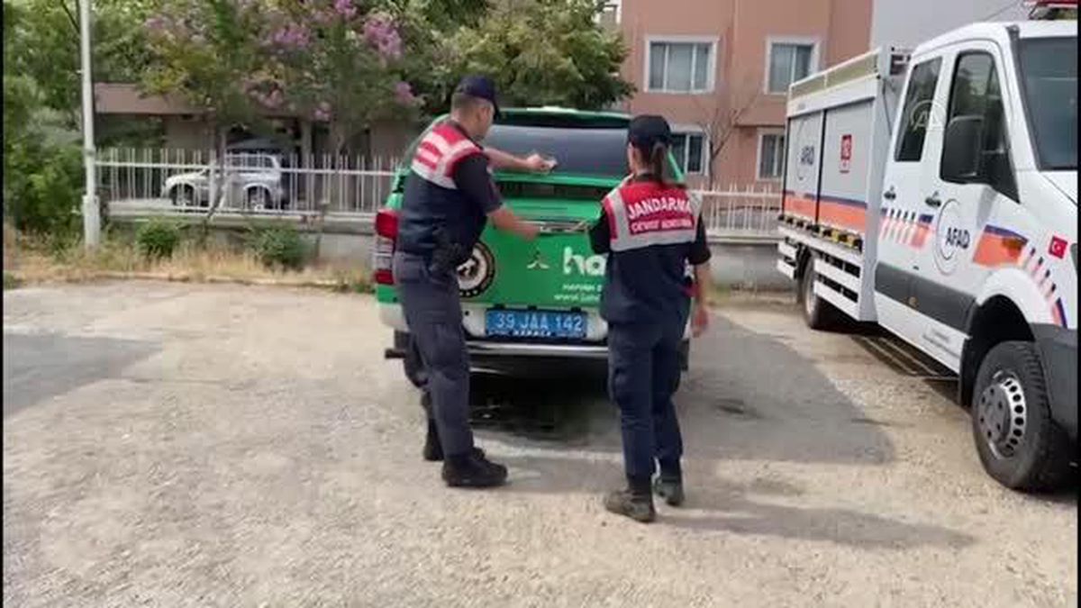 Son dakika haberleri... Kırklareli'nde jandarmanın bulduğu yaralı baykuş ve leylek tedavi edildi