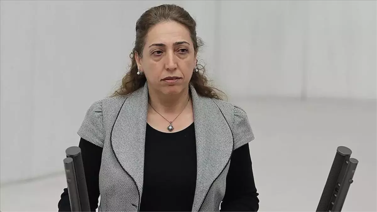 Salihe Aydeniz kimdir? Nereli, kaç yaşında? Salihe Aydeniz hangi parti milletvekili?