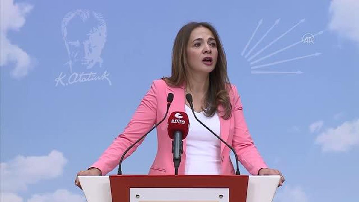 CHP'li İlgezdi, partisinin sağlık alanında yapacağı çalışmaları açıkladı