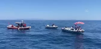 Dalgıçlar denizde hayalet ağ topladı, öğrenciler kıyıyı temizledi