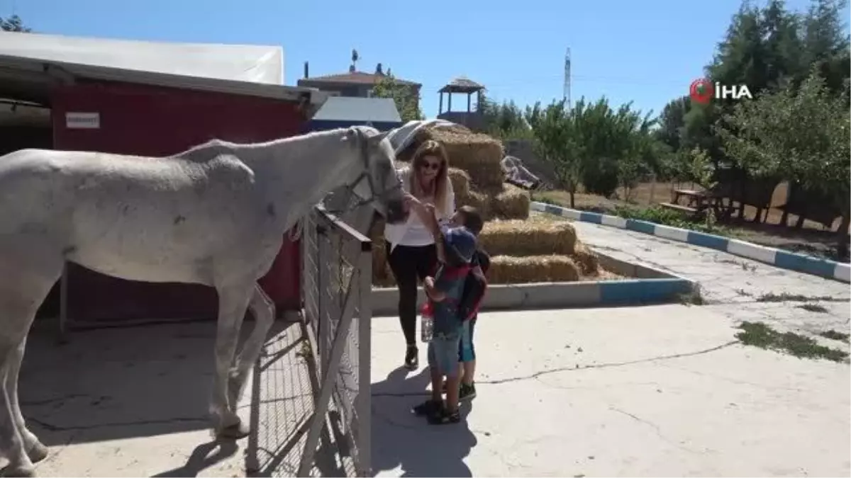 Balıkesir'de miniklerin at biniciliği heyecanı