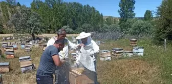 Binali Yıldırım memleketi Refahiye'de sezonun ilk bal hasadına katıldı