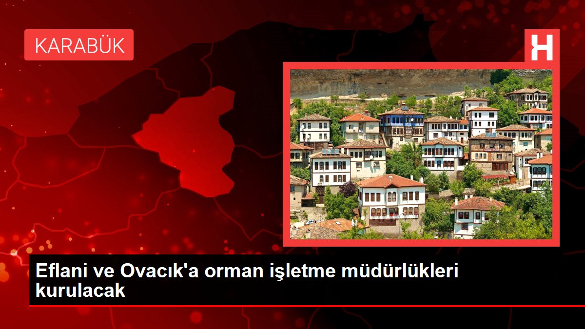 Eflani ve Ovacık'a orman işletme müdürlükleri kurulacak