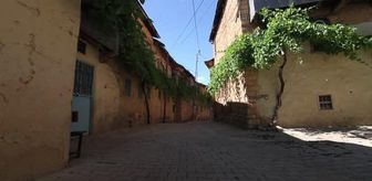 Kadınlar evlerinin duvarlarını parmaklarıyla süslüyor