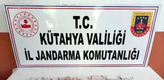 Kütahya'da kaçak elmas operasyonunda 1 gözaltı