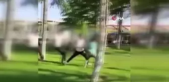 Parkta oturan gençleri gülerek dövüp video çektiler