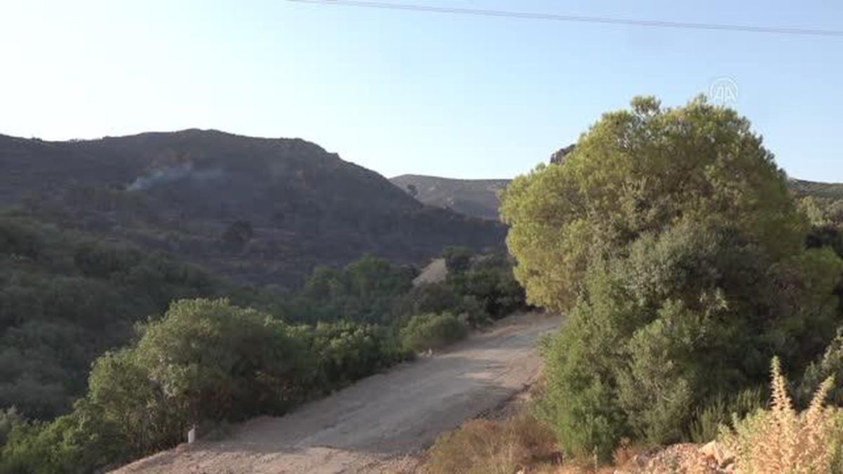 Tunus'taki orman yangını kontrol altına alındı