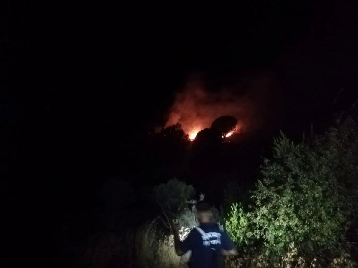 Hatay'da ormanlık alanda çıkan yangın söndürüldü