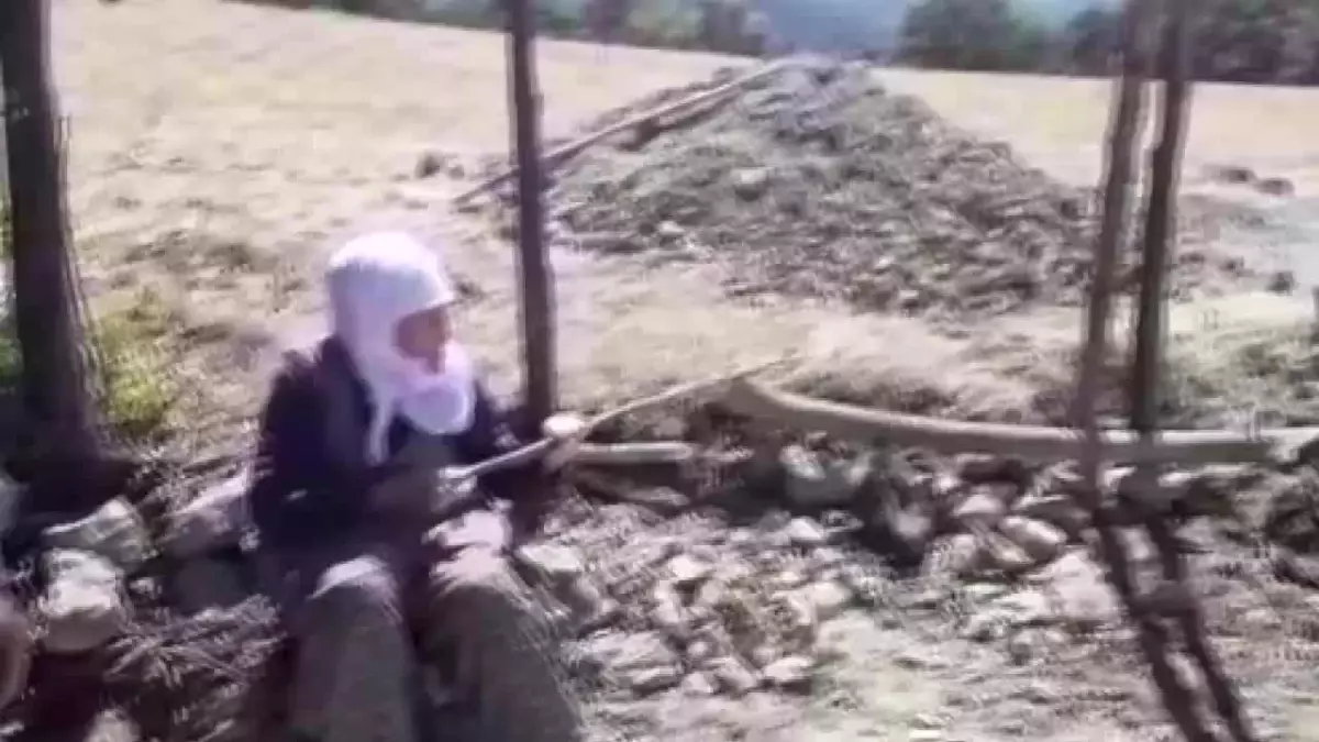 Maden İşletmesi İçin Tarım Arazisine Beton Dökülen 75 Yaşındaki Azime Sarıdoğan: 'Zorla Elimizden Alıyorlar'