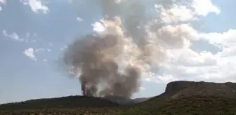 Tunus'ta Bargo Ormanı'ndaki yangın tekrar başladı