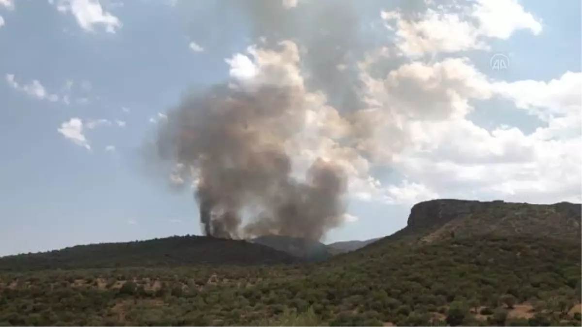 Tunus'ta Bargo Ormanı'ndaki yangın tekrar başladı