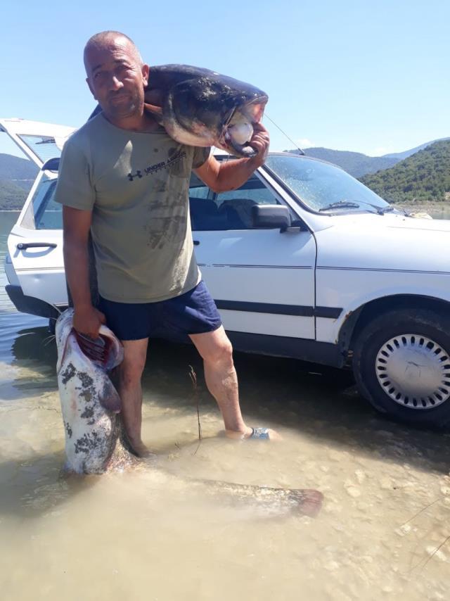Amatör balıkçı barajda 80 kiloluk yayın balığı yakaladı