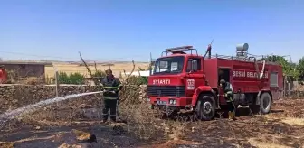 Son dakika haber! Bahçede çıkan yangında inek telef oldu