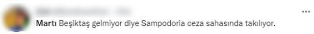Beşiktaş maçındaki martı görenleri hayrete düşürdü! Her pozisyonun içinde yer aldı
