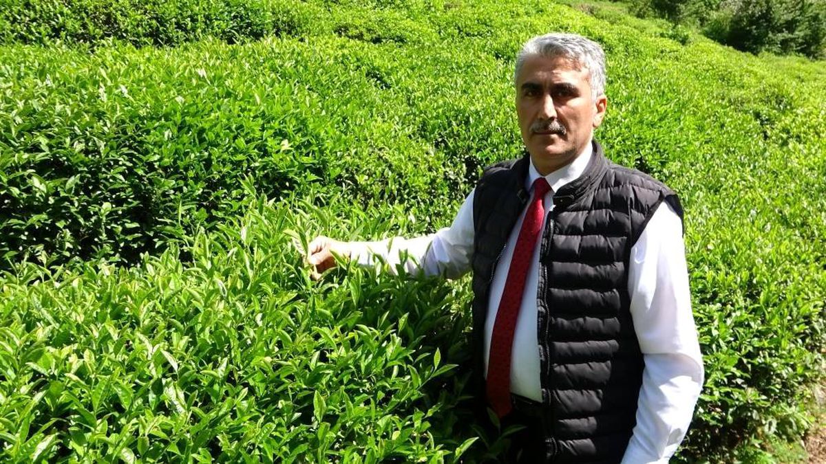 Son dakika haber: ÇAYÜDAD Ulusal Çay Konseyi'nden ayrılma kararı aldı
