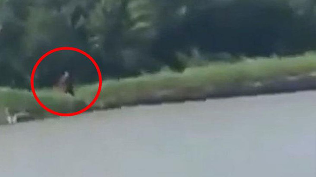 Haber merkezlerine bomba gibi düşen video: Yakından gördüm, sadece yarısı insandı