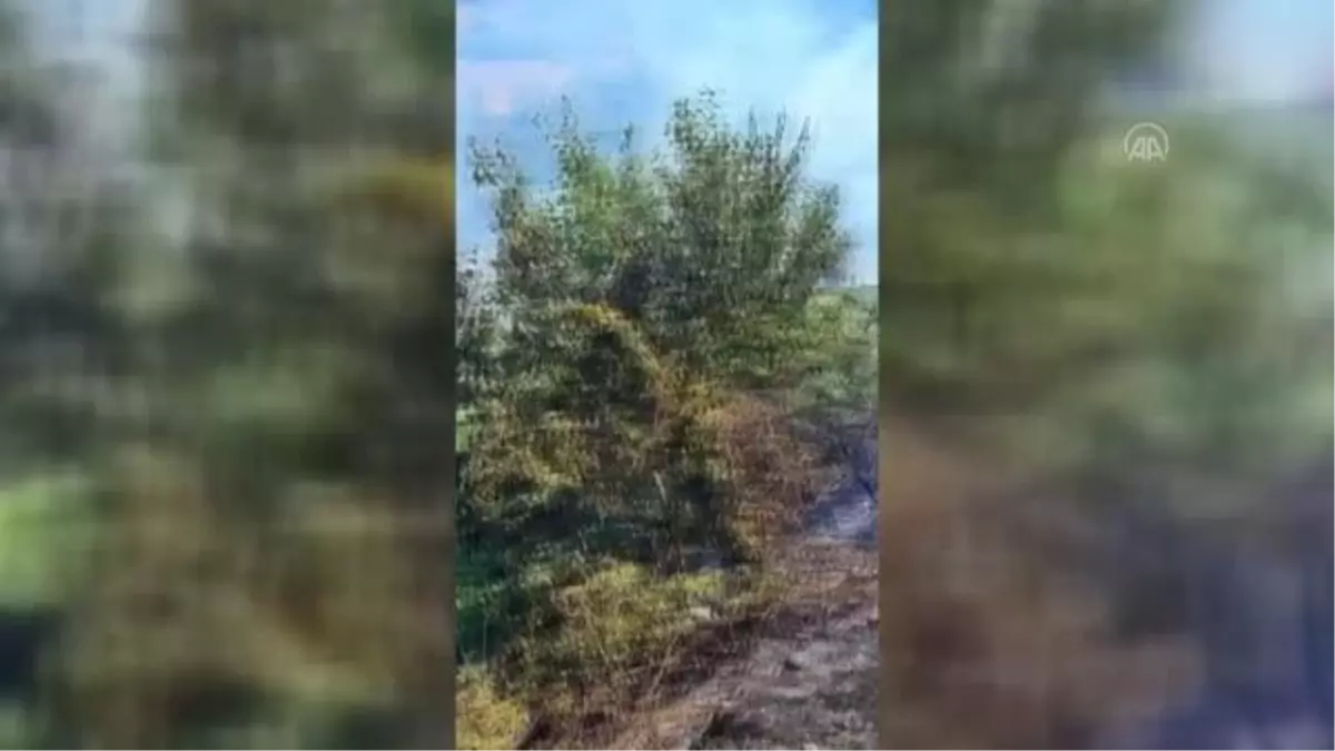Son dakika haberi! İtfaiye ot ve orman yangınlarına müdahale etti