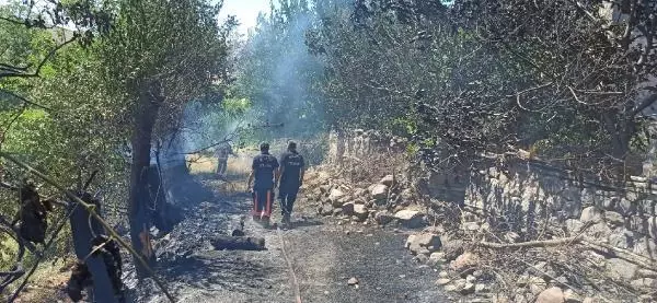 Malatya'da artan hava sıcaklığı nedeniyle 20 yangın çıktı