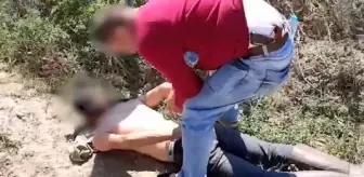 Ormanda kenevir eken 3 şüpheli, suçüstü yakalandı